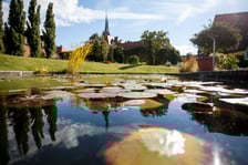 <p>Wrocławski Ogr&oacute;d Botaniczny otwiera się już 1 kwietnia. I to nie prima aprilis.&nbsp;</p>