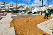 Na Nowym Targu trwa sadzenie 29 gatunków traw i bylin.