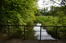 <p>Las Strachociński, mostek na Piskornej</p>