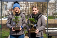 Sadzenie Mikrolasu Miyawaki we Wrocławiu, 21 marca 2024 roku