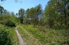 Sprzątanie Lasu Kuźnickiego, 27.04.2024