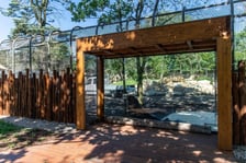 Budowa nowej lwiarni we wrocławskim Zoo na ostatniej prostej