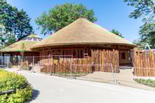 Budowa nowej lwiarni we wrocławskim Zoo na ostatniej prostej