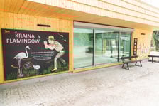Nowy dom flamingów