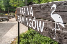 Nowy dom flamingów