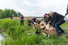 Projekt podgorzałki