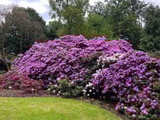 <p><strong>Adres:</strong></p>
<p><strong>Arboretum Wojsławice</strong></p>
<p>Wojsławice 2, 58-230 Niemcza</p>
<p><strong>Godziny otwarcia:</strong></p>
<p>Codziennie: 9.00 - 18.00 (zwiedzanie do godz. 20.00)</p>