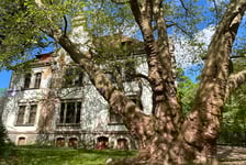 <p>Platan Miłości w Targoszynie (gm. Mściwoj&oacute;w, woj. dolnośląskie) &ndash; jak głosi legenda, został posadzony na znak miłości Anny, c&oacute;rki kowala z Targoszyna i Caspara, syna sadownik&oacute;w z Niedaszowa, kt&oacute;ry podarował dziewczynie sadzonkę drzewa zamiast pierścionka zaręczynowego.&nbsp;</p>