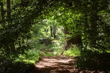 Ogród Botaniczny Roślin Leczniczych Uniwersytetu Medycznego