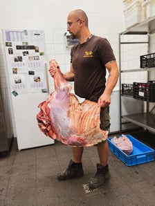 Praca opiekuna ssaków drapieżnych nie należy do lekkich, ale daje dużo satysfakcji