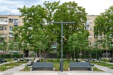 Plac Nowy Targ coraz bardziej zielony. Zdjęcia po zielonej rewolucji - czerwiec 2024 r.