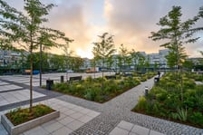Zielony plac Nowy Targ o wschodzie słońca