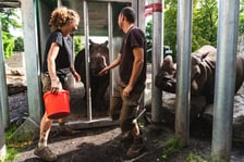 Kiran i jej przygotowania do podróży