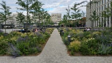 Zazieleniony plac Nowy Targ
