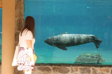Wrocławskie ZOO. 27 lipca 2024 roku
