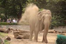 Wrocławskie ZOO. 27 lipca 2024 roku