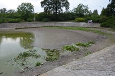 wysychający staw przy Kazimierskiej