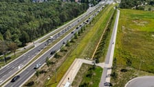 Młode drzewa przy ul. Kosmonautów