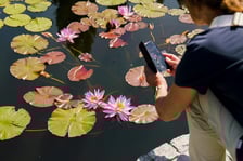 Ogród Botaniczny UWr