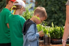 Piknik w PSZOK przy Michalczyka, 1 września 2024