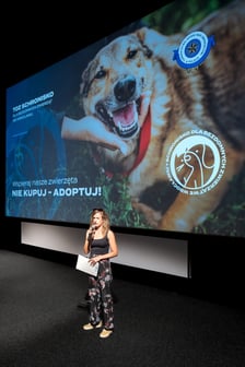 Premiera spotu adopcyjnego wrocławskiego schroniska dla bezdomnych zwierząt