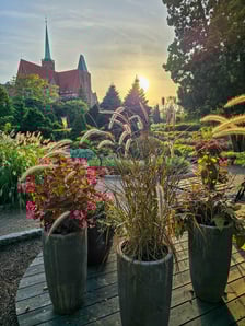 <p>Ogr&oacute;d Botaniczny we wrześniu&nbsp;</p>