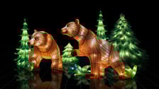 Garden of Lights - Ogród Świateł we wrocławskim ZOO. Wystawa "Dzika Azja". Wizualizacje wystawy