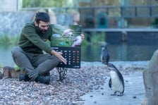 Pracownicy zoo z kalendarzem