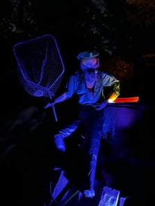 Wieczorne, dyniowe iluminacje w Ogrodzie Botanicznym