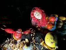 Wieczorne, dyniowe iluminacje w Ogrodzie Botanicznym