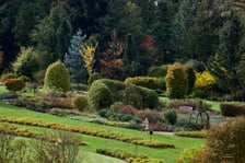 <p>Arboretum Wojsławice jesienią</p>