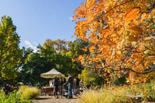<p>Ogr&oacute;d Botaniczny w kolorach jesieni</p>