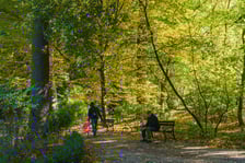 <p>Ogr&oacute;d Botaniczny w kolorach jesieni</p>
