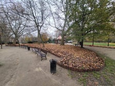Grabienie liści we Wrocławiu - zdjęcia ilustracyjne