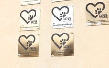 Wrocławskie Serce dla Zwierząt 2024 - uroczystość wręczenia nagród