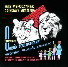 Slajdy reklamowe wrocławskiego zoo, lata 1957-1960
