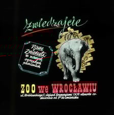 Slajdy reklamowe wrocławskiego zoo, lata 1957-1960