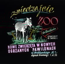 Slajdy reklamowe wrocławskiego zoo, lata 1957-1960