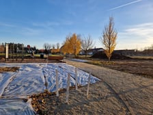 Park Klecina w listopadzie 2024
