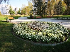 <p>Niewiele wsp&oacute;łcześnie zakładanych teren&oacute;w zieleni jest tak oryginalnych, jak park Leonarda da Vinci na Gądowie Małym. Park zlokalizowany jest na zielonym klinie wijącym się pomiędzy zabudowaniami, nawiązuje tematyką do lotniczej przeszłości osiedla, wykorzystując awiacyjne wynalazki patrona parku. Pomiędzy topolami, jaworami i dębami kryją się rzeźby i urządzenia nawiązujące do r&oacute;żnych wynalazk&oacute;w wielkiego myśliciela. Eliptyczne pergole i placyki-ronda są połączone licznymi ścieżkami i gęsto ustawionymi ławkami oraz leżakami.</p>
<p>Koszt: 1,9 mln zł, projekt WBO</p>
<p>&nbsp;</p>