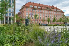 Plac Nowy Targ we Wrocławiu