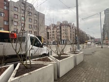 <h3>Plac Tr&oacute;jkątny na Przedmieściu Oławskim</h3>
<p>Trzy klony tatarskie ginnala, berberys atropurpurea, irga błyszcząca i winobluszcz, kt&oacute;ry został dosadzony na niebieskiej pergoli. Ponadto kasztanowiec czerwony w gruncie.</p>
<p>ZZM dobierał gatunki spełniające wymagania konserwatorskie (teren jest w rejestrze zabytk&oacute;w) oraz odporne na miejskie warunki. Byliny, kt&oacute;re były wcześniej w donicach, zostały przesadzone na bulwar przy Oławie, gdzie uzupełniają istniejące kompozycje.</p>