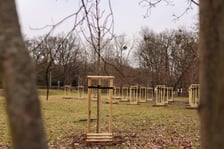 W Ogrodach Szczytnickich posadzono kilkadziesiąt lip drobnolistnych