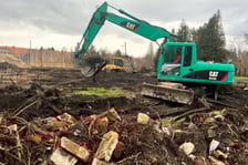 Pierwszy etap zagospodarowywania Ogrodów Szczytnickich to uporządkowanie terenu i nasadzenia zieleni