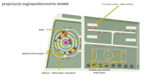 Tereny przy ul. Mrągowskiej - wizualizacja. Projekty przygotowane przez Studentów Katedry Wzornictwa i Katedry Architektury Wnętrz ASP Wrocław