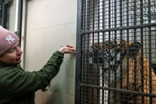 Ewelina Kliś dzięki wygranej aukcji na rzecz WOŚP spędziła dzień we wrocławskim zoo