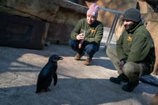 Ewelina Kliś dzięki wygranej aukcji na rzecz WOŚP spędziła dzień we wrocławskim zoo