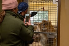 Ewelina Kliś dzięki wygranej aukcji na rzecz WOŚP spędziła dzień we wrocławskim zoo
