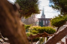 <p>Ogr&oacute;d Botaniczny Uniwersytetu Wrocławskiego otwiera się dla zwiedzających</p>