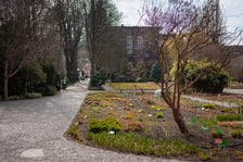 <p>Ogr&oacute;d Botaniczny Uniwersytetu Wrocławskiego otwiera się dla zwiedzających</p>